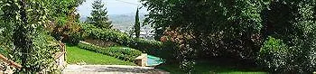 Fonte Del Castagno Sinalunga