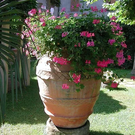 Fonte Del Castagno Lägenhetshotell 3*