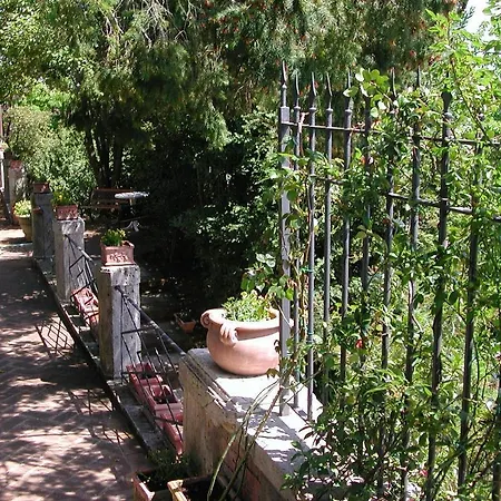 Fonte Del Castagno * Sinalunga