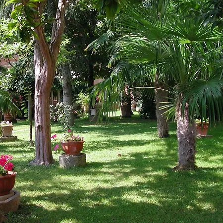 Fonte Del Castagno 3*