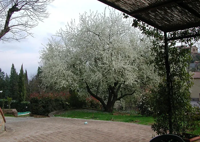 Fonte Del Castagno Sinalunga